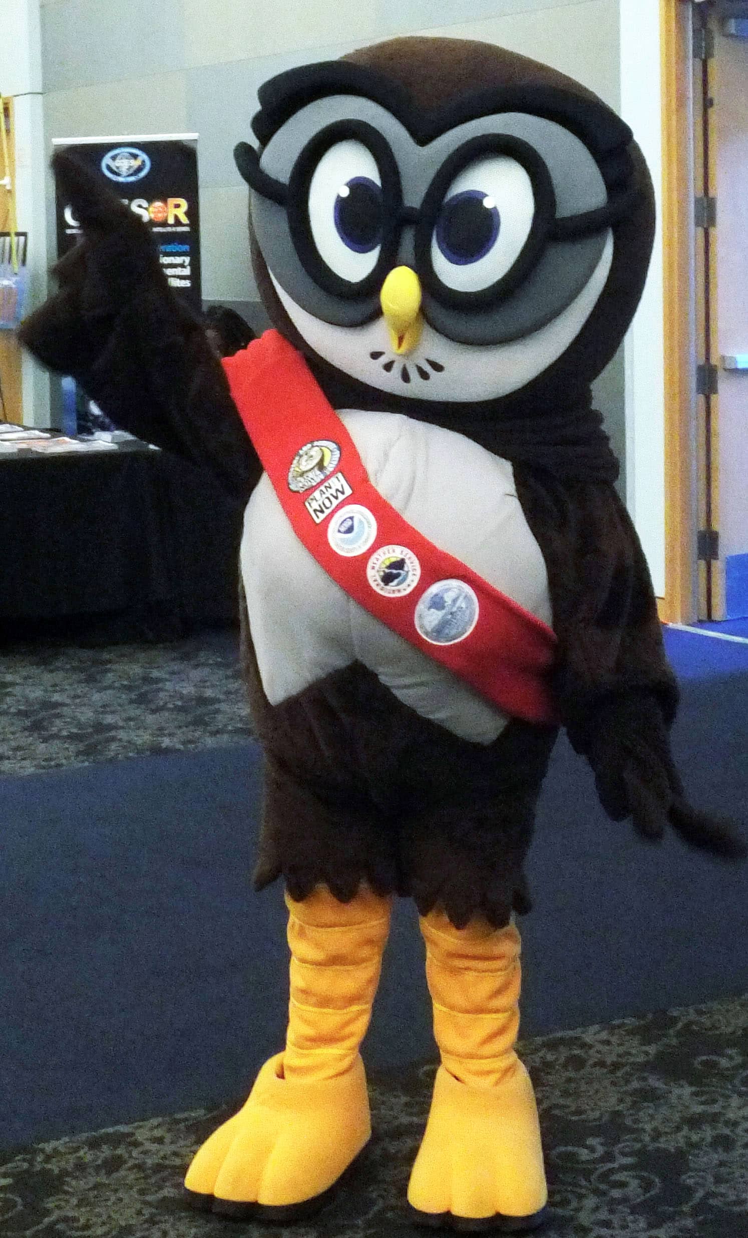 Owlie Skywarn